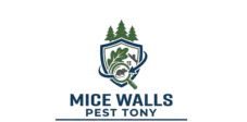 Mice Walls Pest Tony